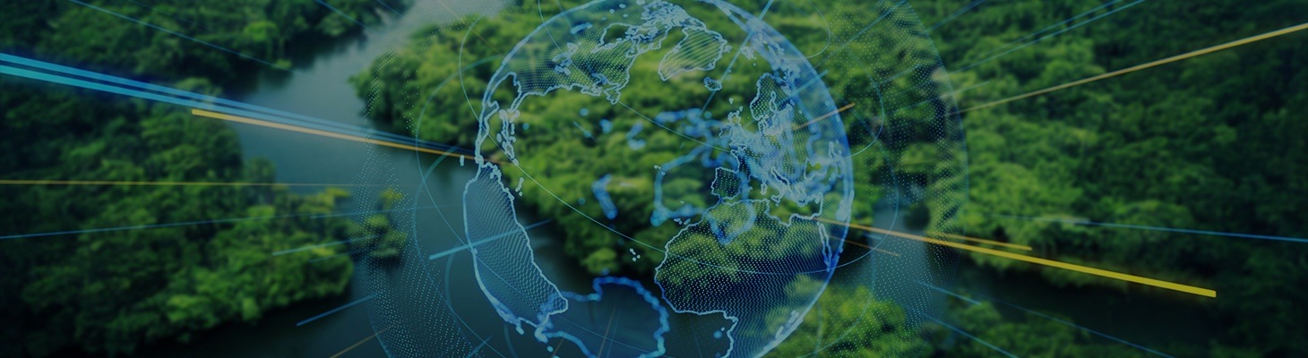Environmental Csm Environmental & Social Management System - Radiance